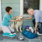 Prepare Your Pets for Disasters